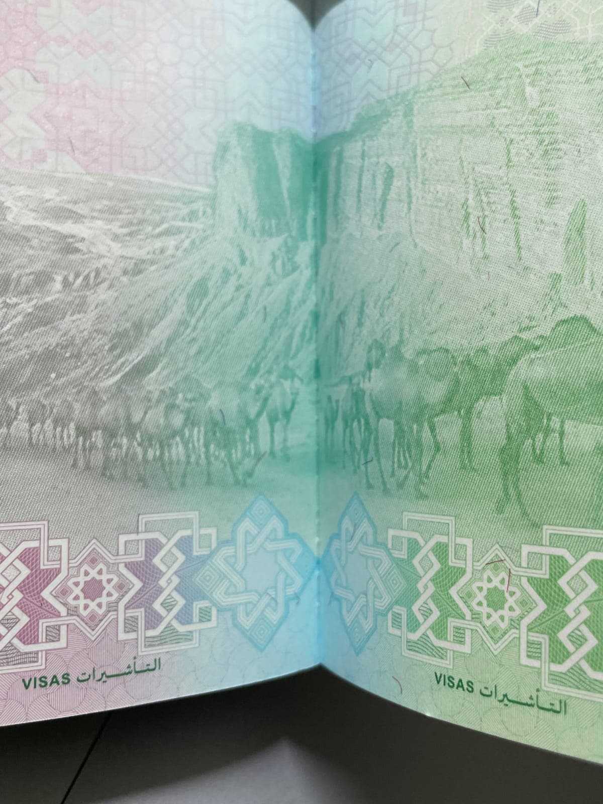 إحدى الصور التي سيتضمنها جواز السفر السعودي